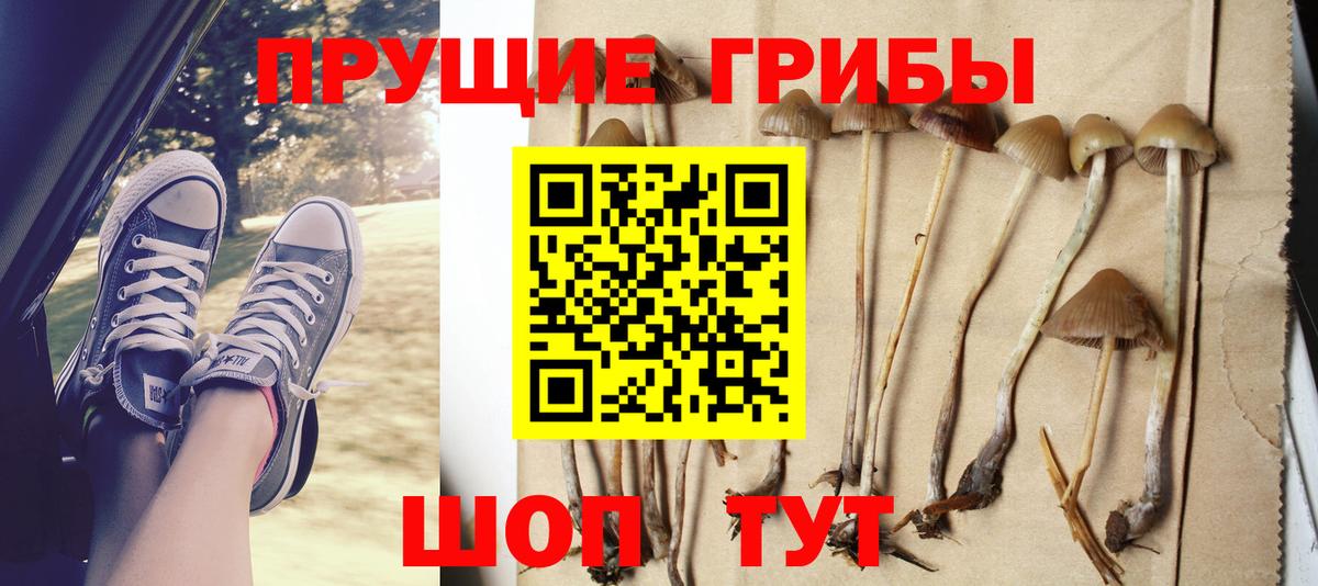 Галлюциногенные грибы MAGIC MUSHROOMS  Вход с VPN  Михайловка 