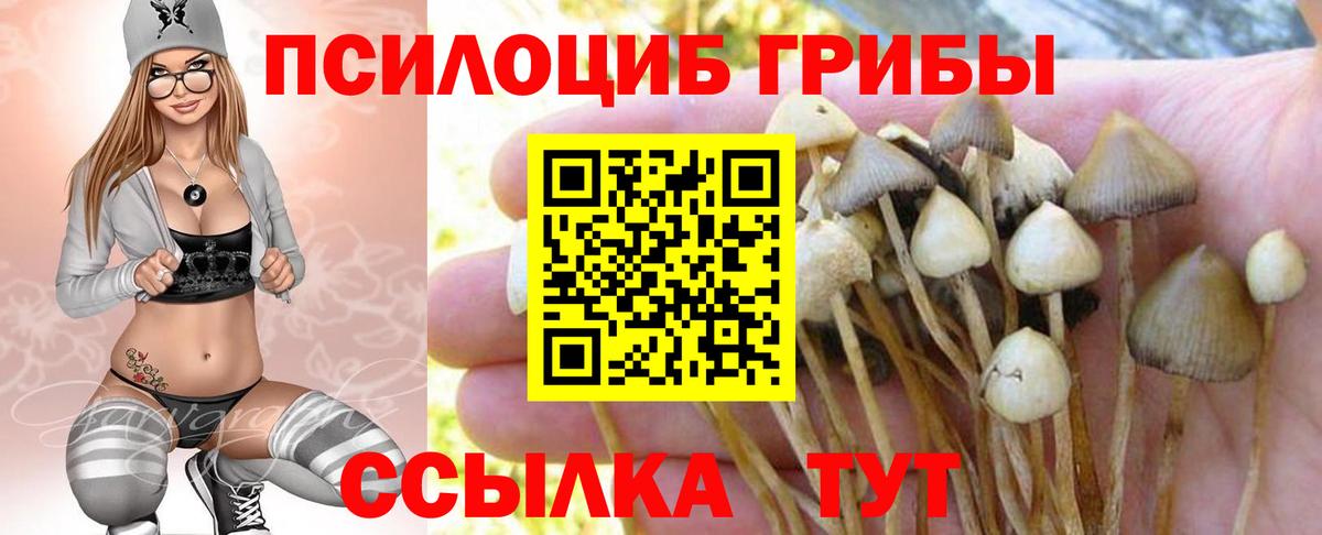 Галлюциногенные грибы мицелий Михайловка
